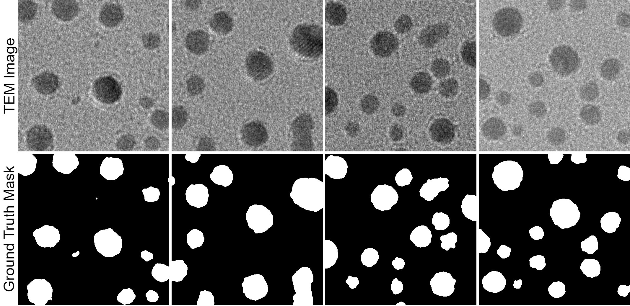 512×512 TEM images and their corresponding ground truth mask images.